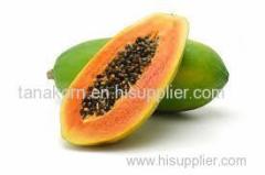 Holland papaya Fruit Thailand