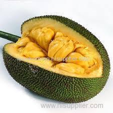 Fresh Jackfruit fruit Thailand