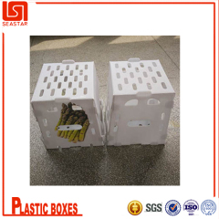 pp corrugated asparagus box for fruit and vegetable storage