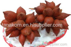 Fresh SALAK Fruit Thailand