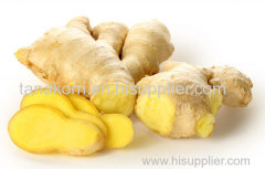 Fresh Ginger AAA thailand