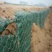 galvanized gabion box / gabion wire mesh(factory)