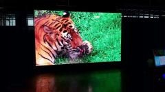 Indoor P6 LED Display