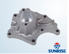 OEM cast aluminum flange by die casting