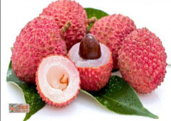 Nutritious Tropical Canned Fruit /canned Lychee Fruit Canned Heavy Syrup