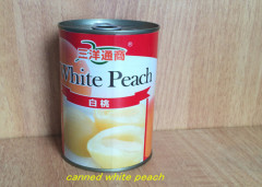 Multiple Tropical Canned Fruit Delicious Canning White Peaches