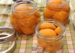 No Any Additives Tropical Canned Loquat / Healthy Canned Fruits