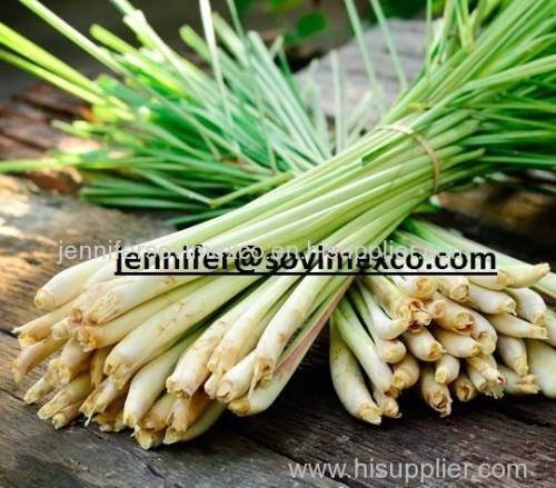 Fresh Lemongrass whith High Quality