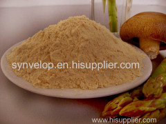 Soy Lecithin Powder NON GMO