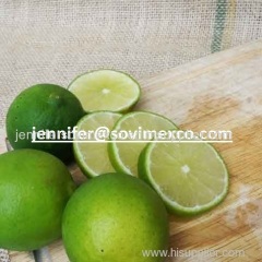 High Quality Vietnam Lemon