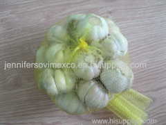 Vietnam Fresh White Garlic