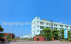 Guangzhou Fengwang Technology Co., Ltd