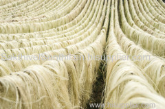 Top Sisal Fiber UG Grade