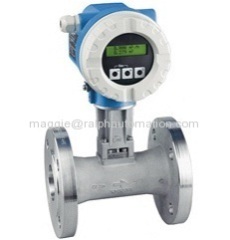 Professional vertical Endress+Hauser flow meter