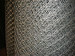 plastic diamond mesh /plastic flat mesh /poultry mesh /garden mesh