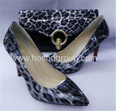 Laides Leopard shoes and bags