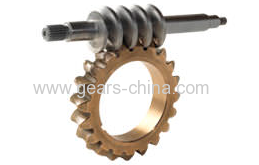 china manufacturer worm gear design