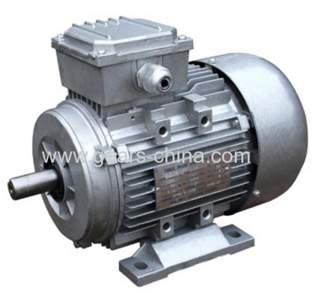 china manufacturer Y2 motor