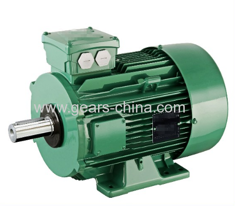 china manufacturer Y2 electric motors supplier