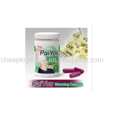 Diet program to lose weight fast pdf picture 9