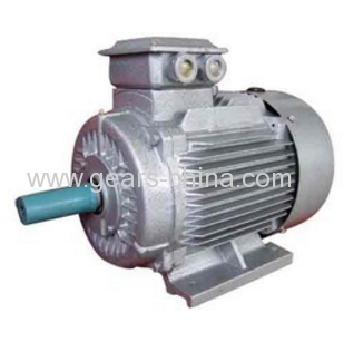 china supplier TYBZ synchronous motor