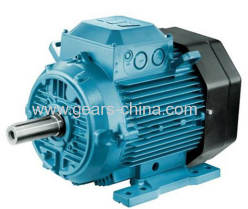 china manufacturer TYBZ synchronous motors supplier