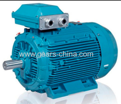 china manufacturer TYBZ synchronous motor