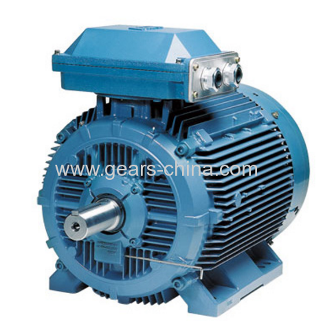 TYBZ synchronous motor manufacturer in china