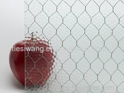 Corrugated or Flat Glass Used Chicken Wire Mesh