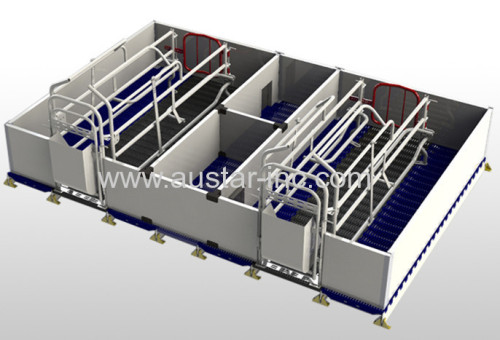 Best Sale Double Farrowing Crates For Pigs With PVC fence panel