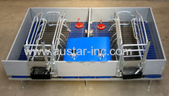 Best Sale Double Farrowing Crates For Pigs With PVC fence panel