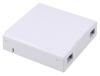 Fiber optic facebox terminal box 2 core