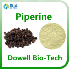 100% Pure Piperine Extract 95% 98% / Natural Black Pepper Extract Manufacturer