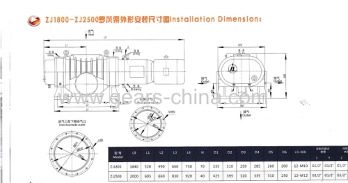 Used a Pair of Rotors Famous Brand Roots Vacuum Pump High Vacuum Pump