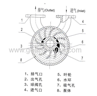 High Performance Mini Diaphragm water liquid ring vacuum pumps for espresso machine