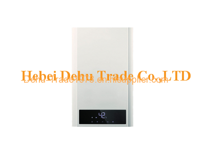 Gas water heater Dehu-JSQ23-H08