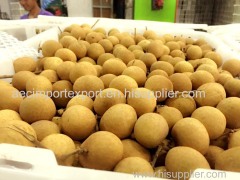 BEST QUALITY LONGAN FROM THAILAND