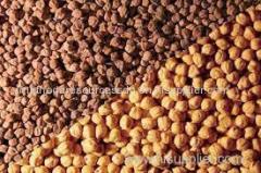 PULSES LENTILS BEANS CHICKPEAS