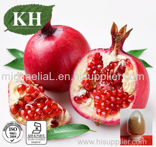 Pomegranate Peel Extract Polyphenols