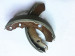 Brake shoes for three wheeler-Q195 steel with testing report