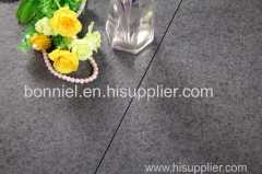 20mm Thick Paver Porcelain Tile for Outdoor Heavy Loading Area Polular in Europe