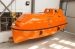 Totally enclosed lifeboats (common)