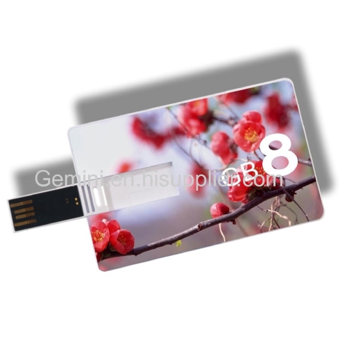 Card USB Flash Drive