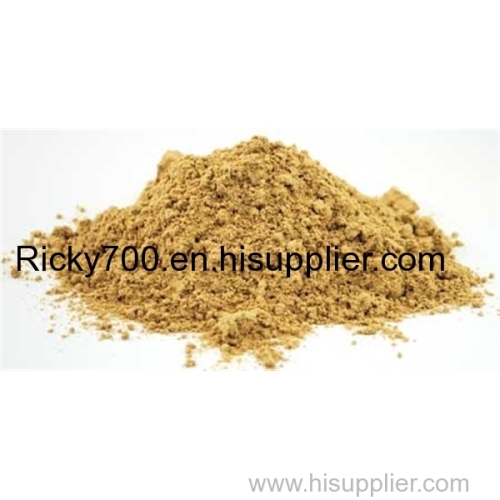 Astragalus Extract Astragaloside 0.3%-30%