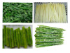 IQF/Frozen Chinese white/green asparagus tips/cut