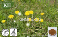 Dandelion Extract Flovones Phytosterols and Taraxasterols