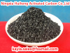nut shell activated carbon