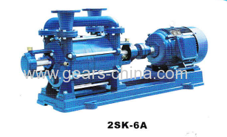 2SK-6 Liquid Ring Vacuum Pump china suppliers