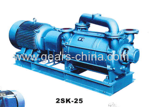 2SK-25 Liquid Ring Vacuum Pump china suppliers