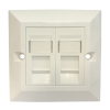 2ports UK type Bevelled Wall Plate with CAT5e Keystone Jack